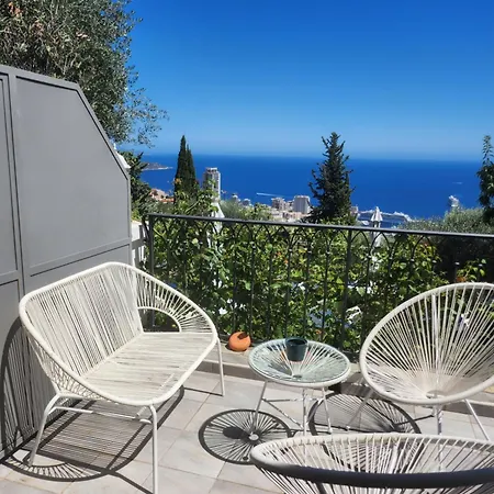 Le Mas D'Angeline - Vue Mer Jardin Commun Parking Voiture Obligatoire 10Min Voiture Monaco Route Etroite Pente Raide Croisement Limite Voir Photos - Sea View Shared Garden Parking Car Mandatory 10Min Car Monaco Narrow Steep Road Limited Passing See P *