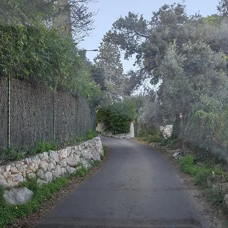 Le Mas D'Angeline - Vue Mer Jardin Commun Parking Voiture Obligatoire 10Min Voiture Monaco Route Etroite Pente Raide Croisement Limite Voir Photos - Sea View Shared Garden Parking Car Mandatory 10Min Car Monaco Narrow Steep Road Limited Passing See P