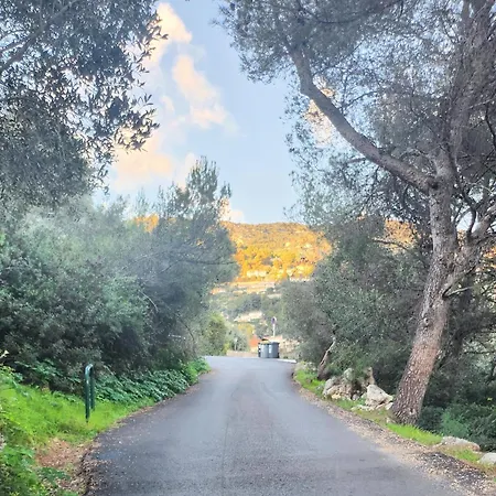 Apartment Le Mas D'Angeline - Vue Mer Jardin Commun Parking Voiture Obligatoire 10Min Voiture Monaco Route Etroite Pente Raide Croisement Limite Voir Photos - Sea View Shared Garden Parking Car Mandatory 10Min Car Monaco Narrow Steep Road Limited Passing See P Beausoleil