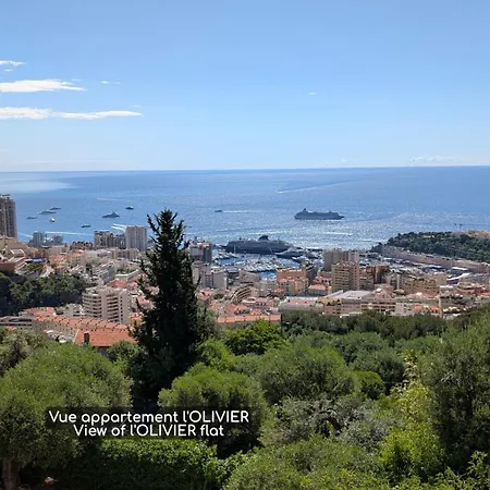 Le Mas D'Angeline - Vue Mer Jardin Commun Parking Voiture Obligatoire 10Min Voiture Monaco Route Etroite Pente Raide Croisement Limite Voir Photos - Sea View Shared Garden Parking Car Mandatory 10Min Car Monaco Narrow Steep Road Limited Passing See P * Beausoleil